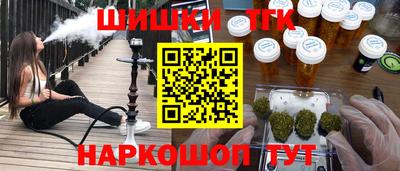 амф Камышлов