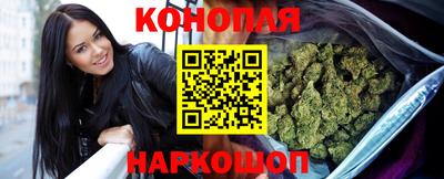 стаф Кандалакша