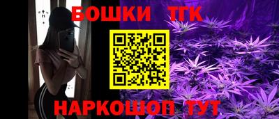стаф Кандалакша