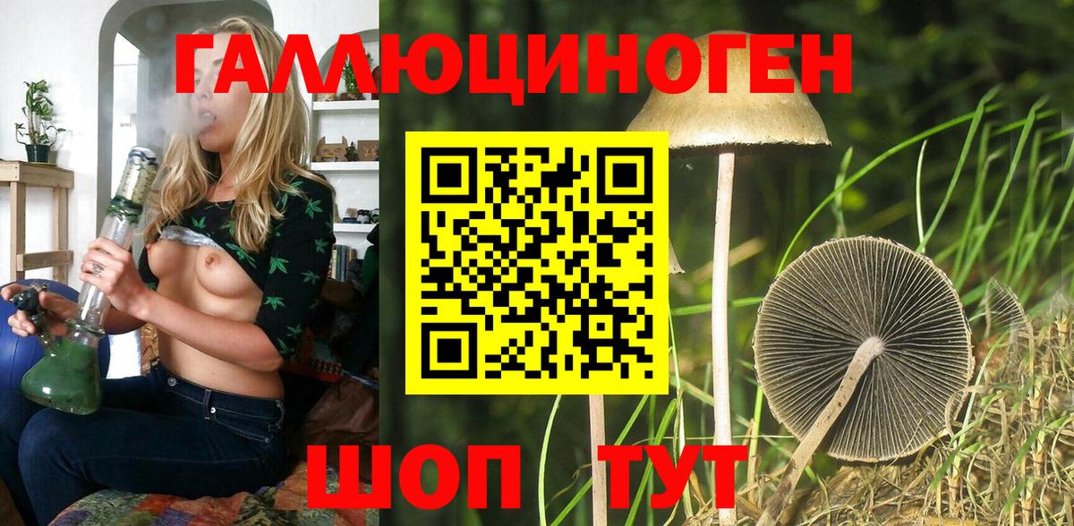 Щёкино  Псилоцибиновые грибы ЛСД  Вход с VPN 